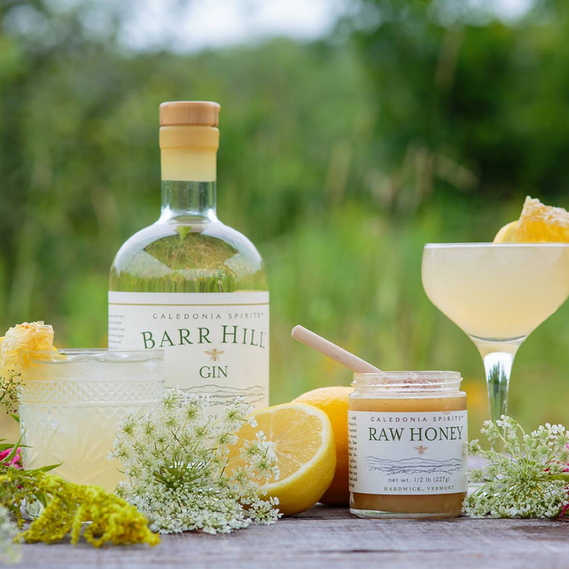 Image of the Barr Hill Bee's Knees cocktail